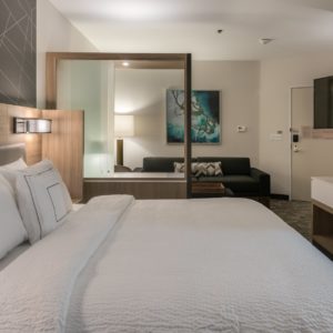 spring hill suites one night stay