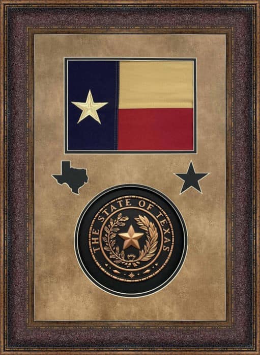 Texas State Flag & Seal